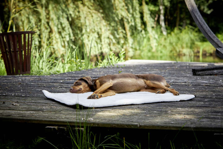 WOLTERS Reisedecke Vagabund